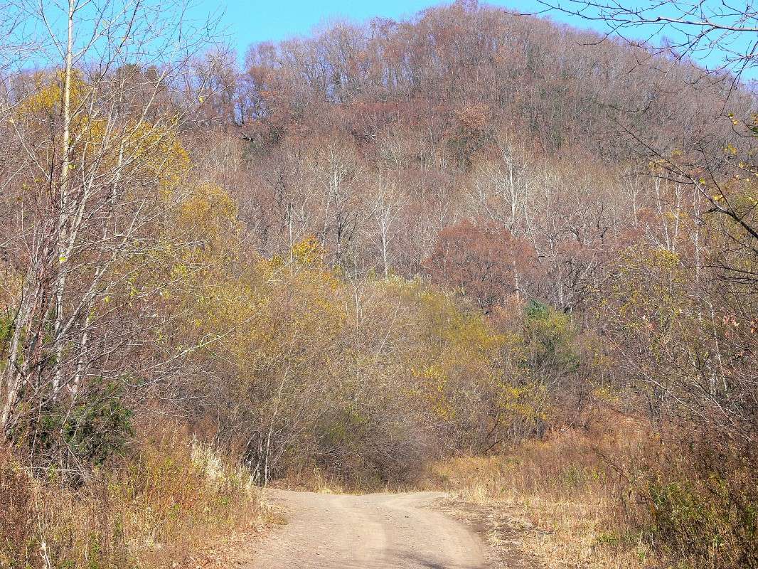 ������ � ������-����� ����� ����� ������ �� PhotoGeek.ru #������ ��� ������� #����� �������������� #���������