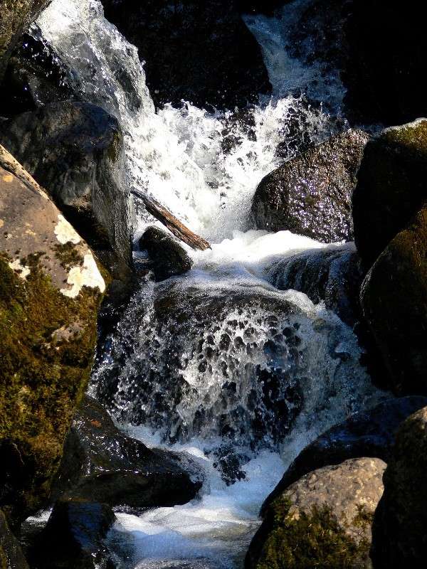 ���� �������... ����� ����� ������ �� PhotoGeek.ru #������ ��� ������� #��������� #����� ��������