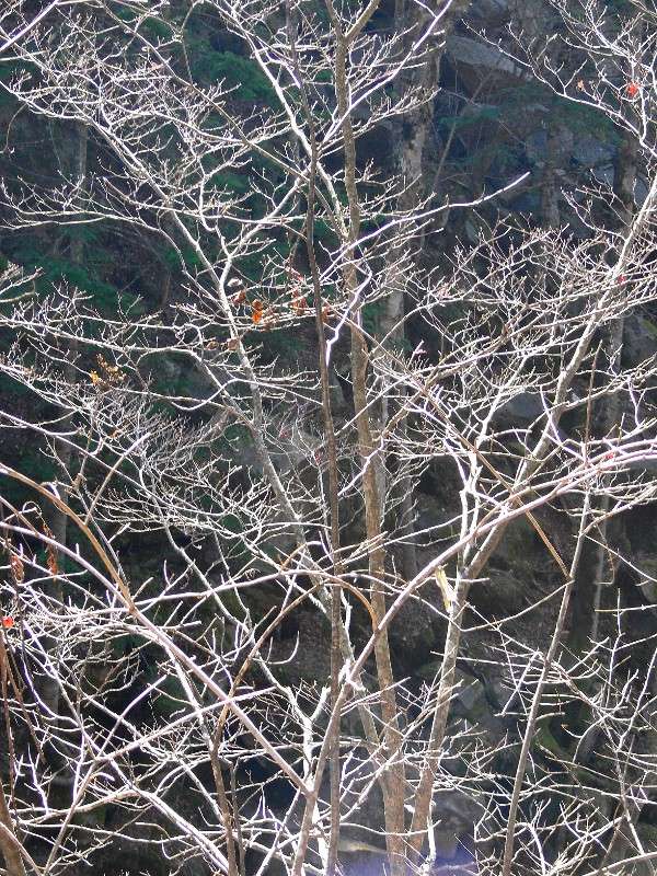 �����... ����� ����� ������ �� PhotoGeek.ru #������ ��� ������� #����� �������������� #����� ��������