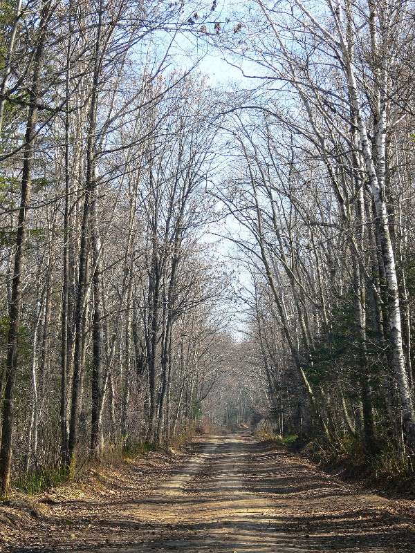 ������� ������� ����� ����� ������ �� PhotoGeek.ru #������ ��� ������� #����� �������������� #���������