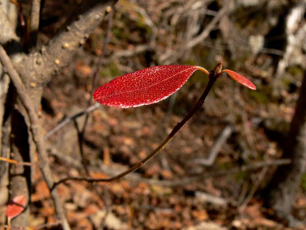 ���������! ����� ����� ������ �� PhotoGeek.ru #������ ��� ������� #����� �������������� #���������