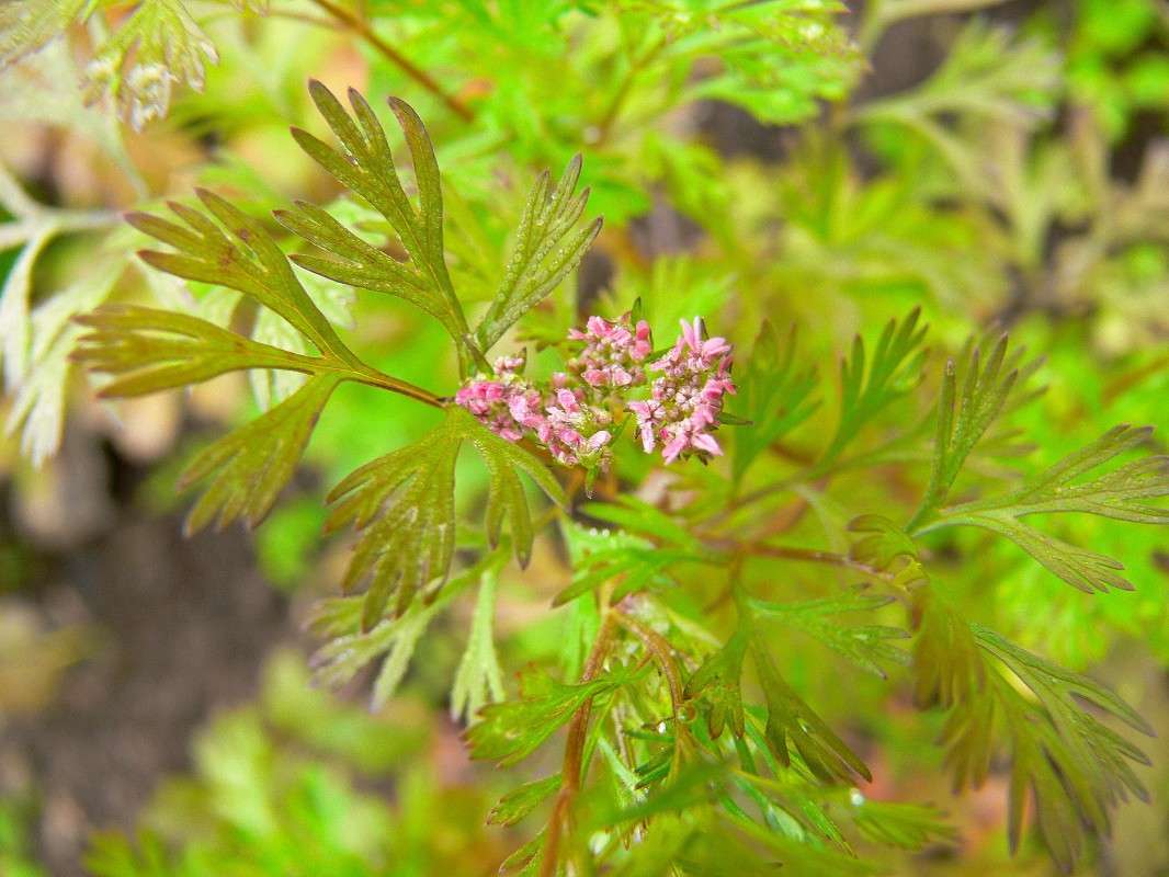 ����� ����� ����! ����� ����� ������ �� PhotoGeek.ru #������ ��� ������� #����� �������������� #����� ��������