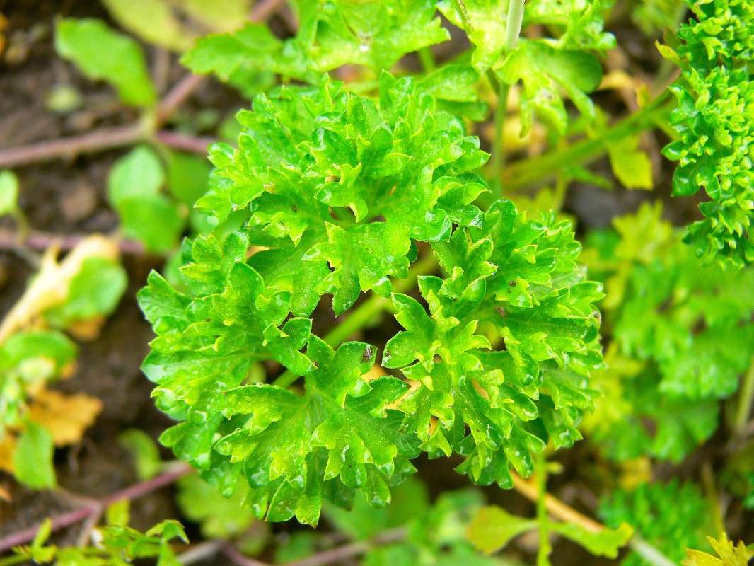 �������������� ��������! ����� ����� ������ �� PhotoGeek.ru #������ ��� ������� #����� �������������� #����� ��������