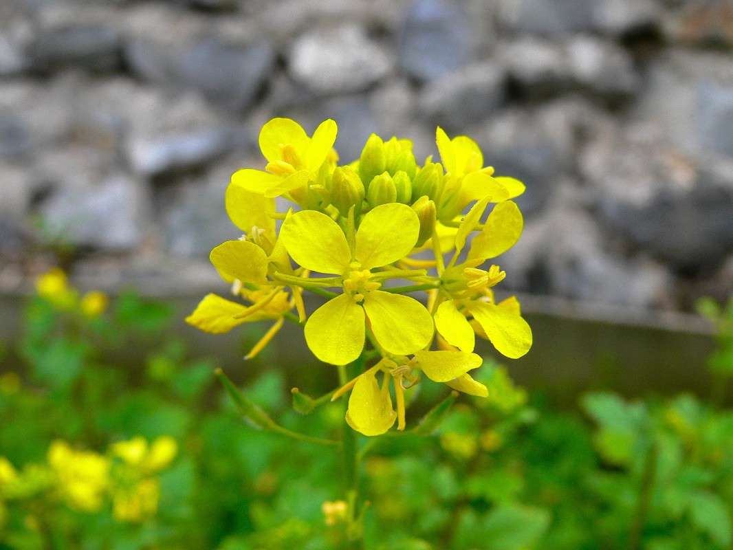 �������, �������, �� �������! ����� ����� ������ �� PhotoGeek.ru #������ ��� ������� #����� �������������� #����� ��������