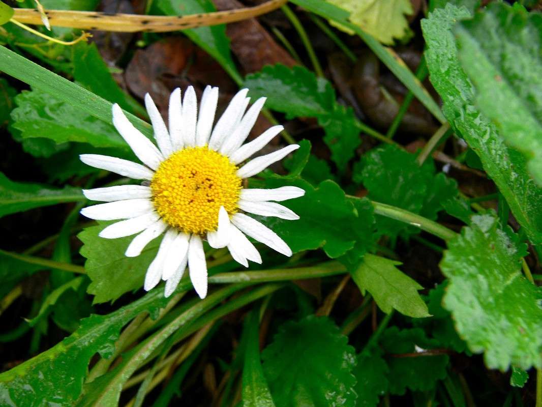 ������� �� ��������� �������! ����� ����� ������ �� PhotoGeek.ru #������ ��� ������� #����� �������������� #����� ��������