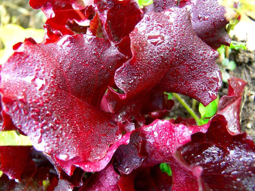 ���������� �������! ����� ����� ������ �� PhotoGeek.ru #������ ��� ������� #����� �������������� #����� ��������