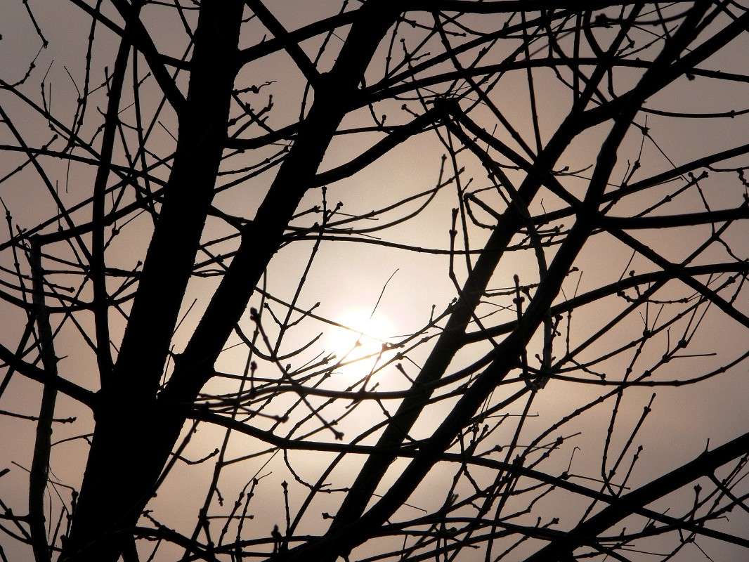 ���������� ������! ����� ����� ������ �� PhotoGeek.ru #������ ��� ������� #����� �������������� #��������� #����� ��������