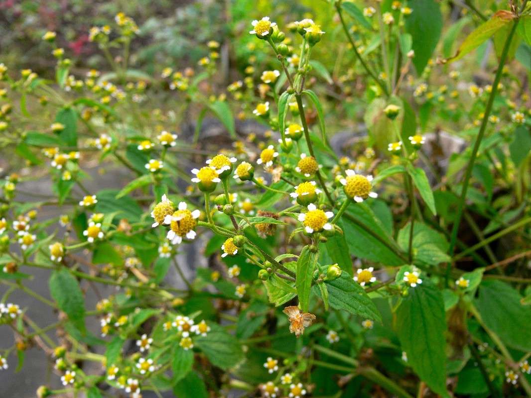 ������... ����� ����� ������ �� PhotoGeek.ru #������ ��� ������� #����� �������������� #����� ��������