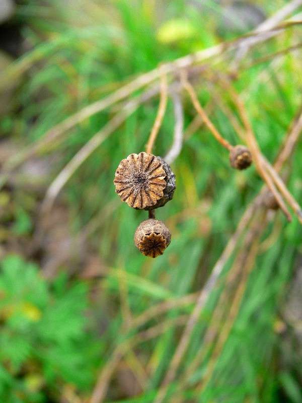 ������� ��������� ����� ����� ������ �� PhotoGeek.ru #������ ��� ������� #����� �������������� #����� ��������