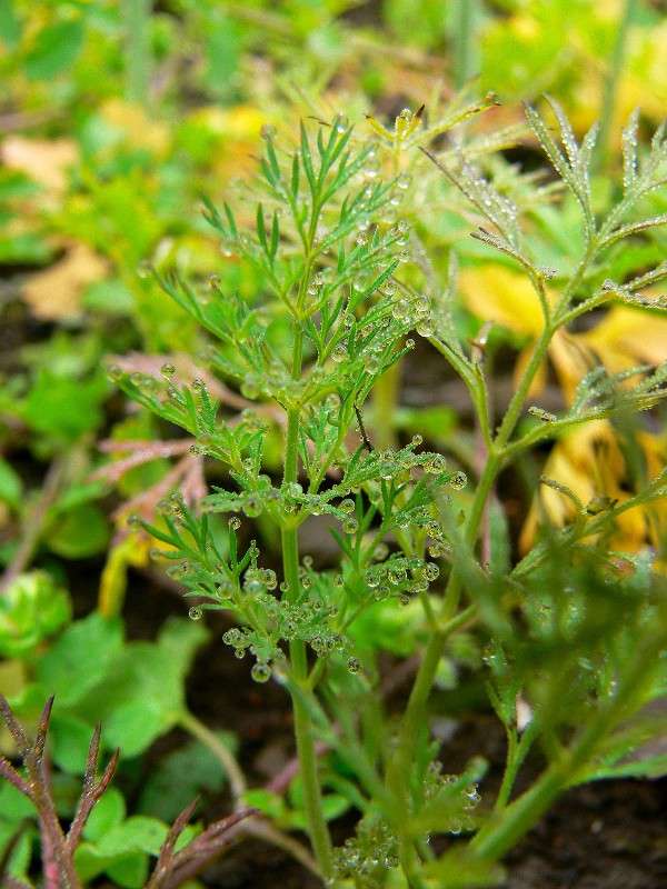 �������� ���� ����� ����� ������ �� PhotoGeek.ru #������ ��� ������� #����� �������������� #����� ��������