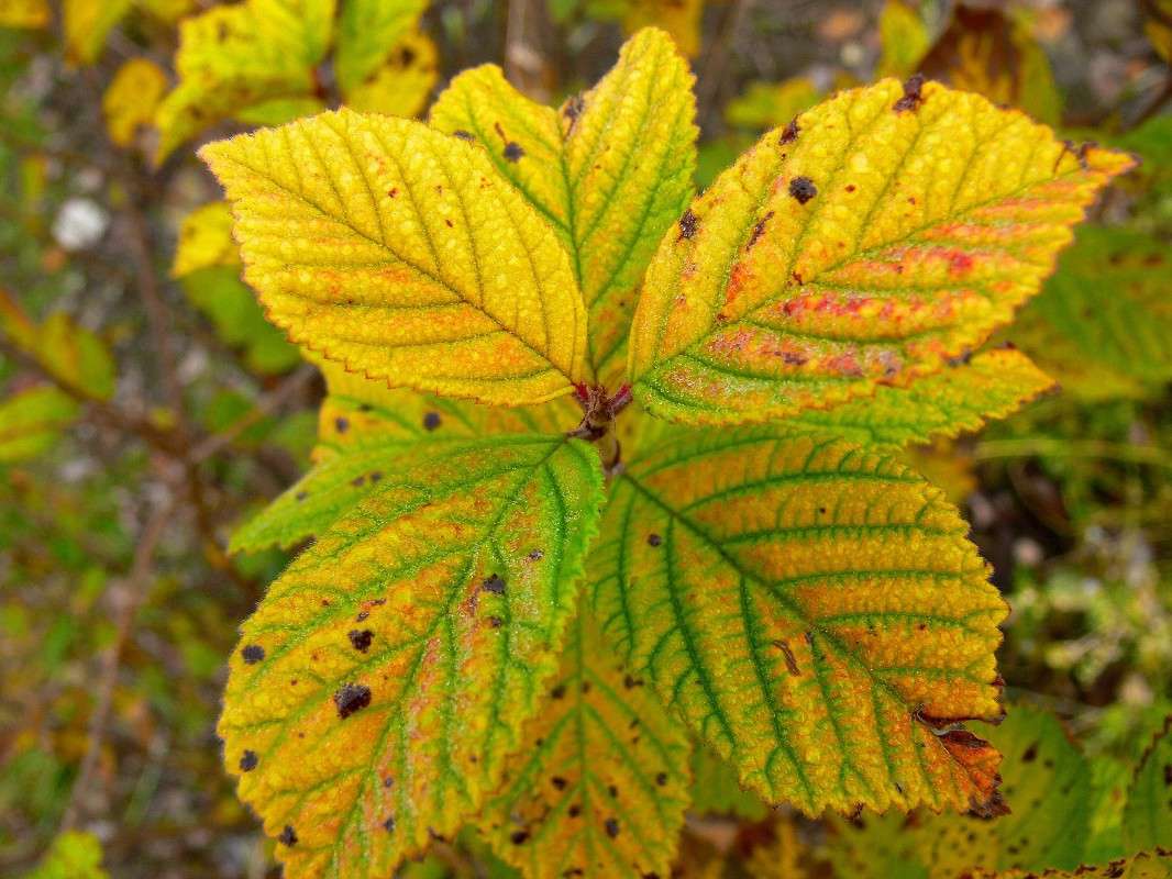 �������� ������! ����� ����� ������ �� PhotoGeek.ru #������ ��� ������� #����� �������������� #���������