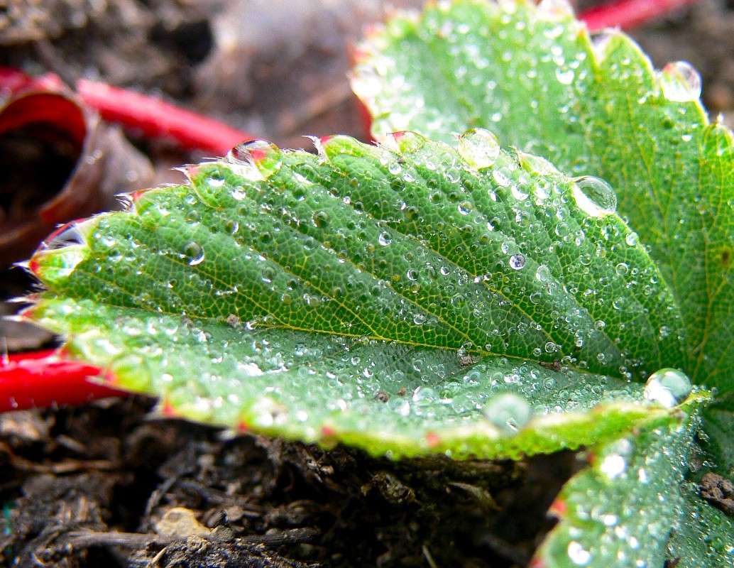 �������� �������� �����... ����� ����� ������ �� PhotoGeek.ru #������ ��� ������� #����� �������������� #���������