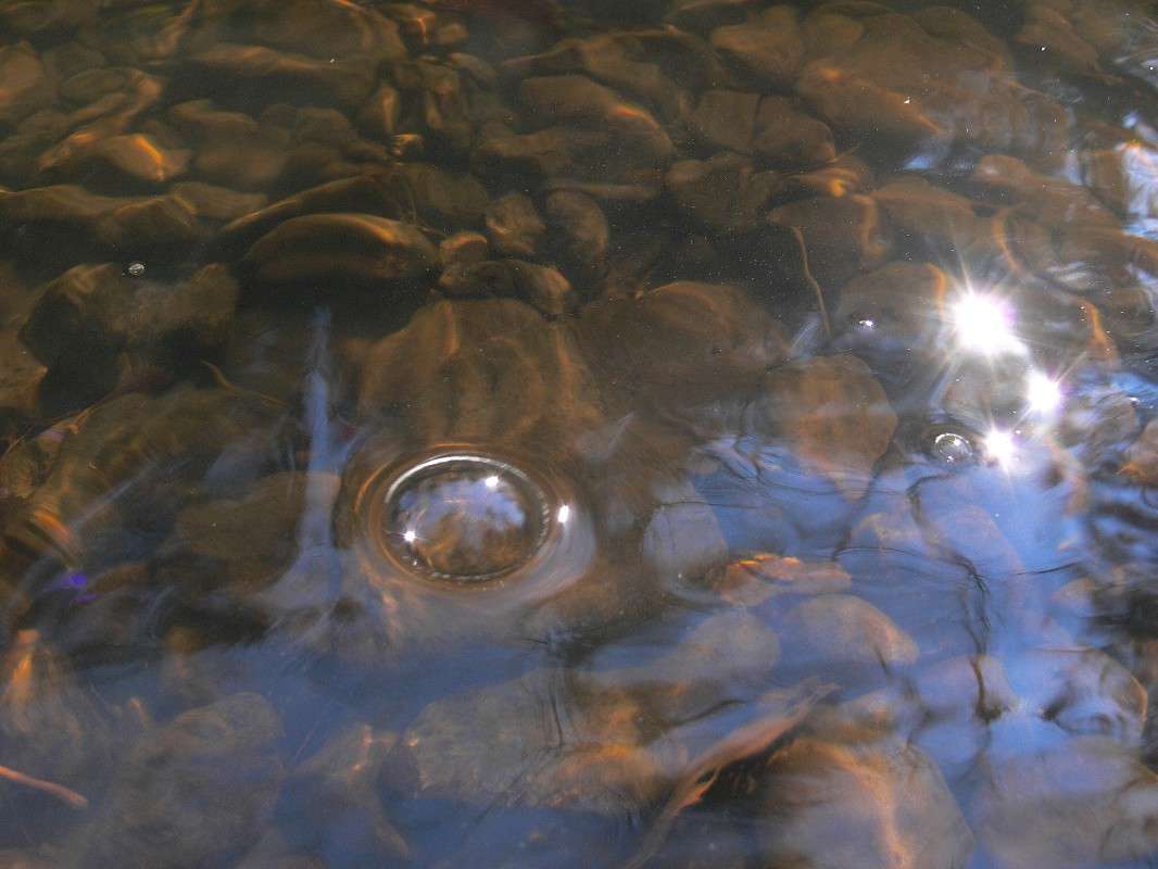 ������ ��������� ����� ����� ������ �� PhotoGeek.ru #������ ��� ������� #��������� #����� ��������