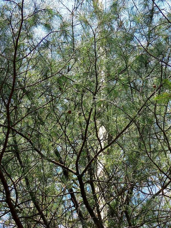 ������ ����... ����� ����� ������ �� PhotoGeek.ru #������ ��� ������� #����� �������������� #����� ��������