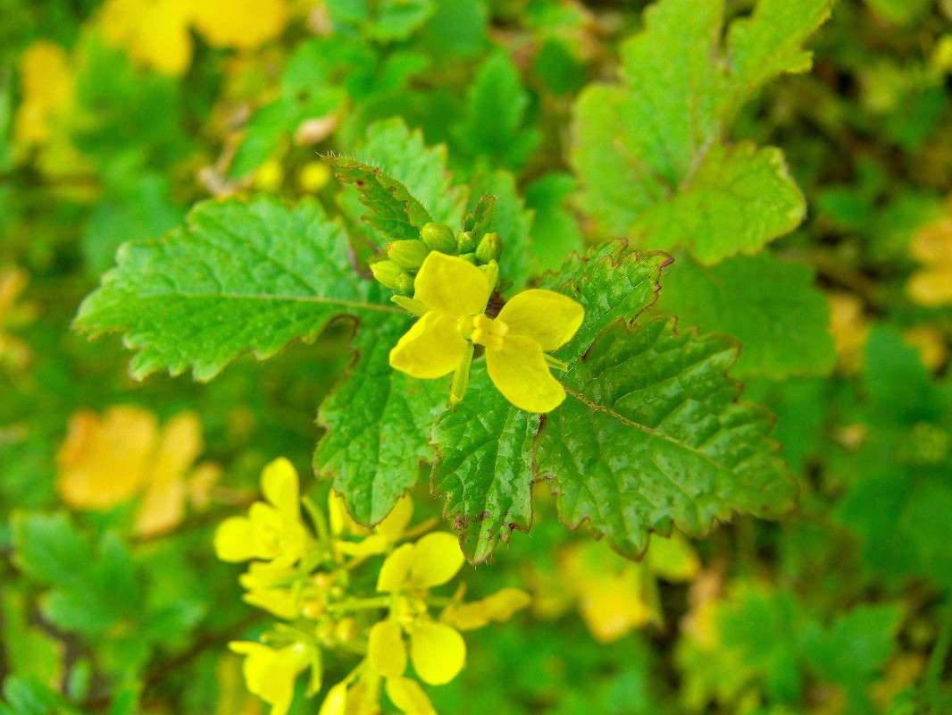 ������ �� ��������... ����� ����� ������ �� PhotoGeek.ru #������ ��� ������� #����� �������������� #����� ��������