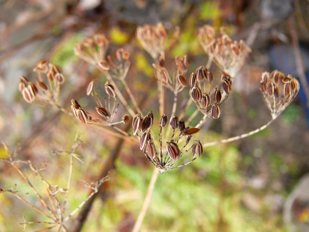 ������... ����� ����� ������ �� PhotoGeek.ru #������ ��� ������� #����� �������������� #���������