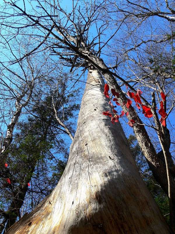 � ����� ������... ����� ����� ������ �� PhotoGeek.ru #������ ��� ������� #����� �������������� #���������