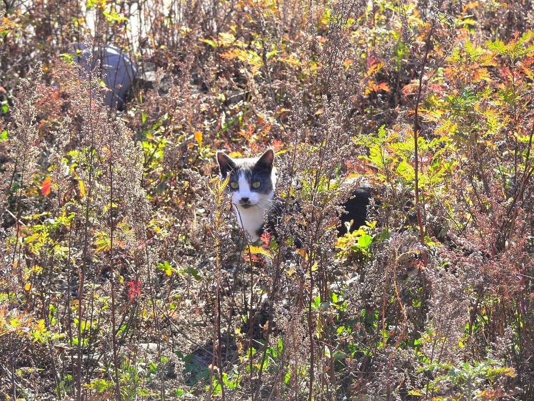 ��������� ��������! ����� ����� ������ �� PhotoGeek.ru #�������� ��� #������ ��� ������� #�������� ��� #����� ��������������