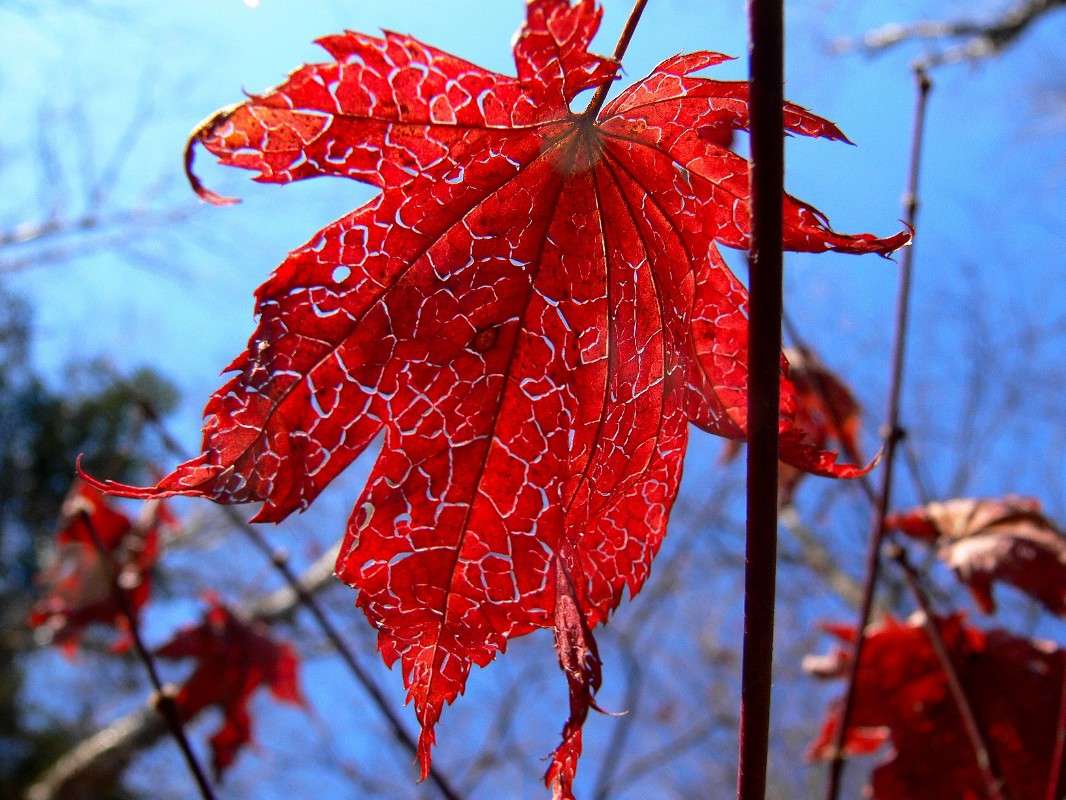 ��������� ��������� �����... ����� ����� ������ �� PhotoGeek.ru #������ ��� ������� #����� �������������� #����� ��������