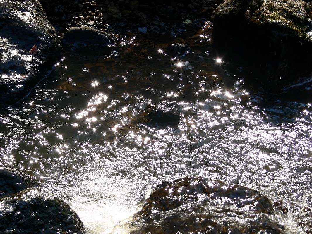 �������� ���� ����� ����� ������ �� PhotoGeek.ru #������ ��� ������� #��������� #����� ��������