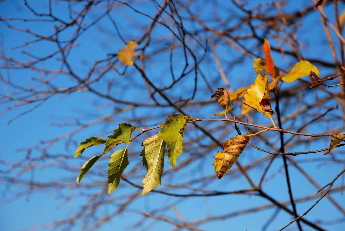 ���������... ����� ����� ������ �� PhotoGeek.ru #����� #������ ��� ������� #��������� ������ #����� ��������������