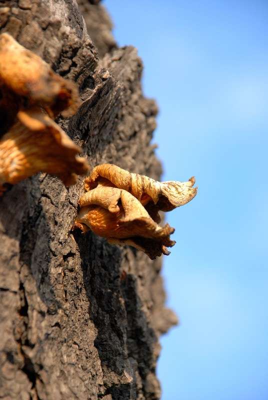 ����� � ���� ��������� ������... ����� ����� ������ �� PhotoGeek.ru #������ ��� ������� #����� �������������� #���������