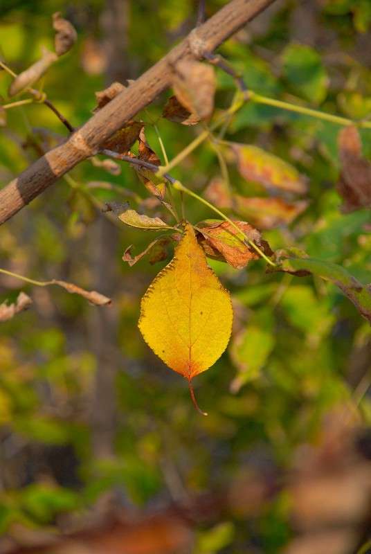 ...���������... ����� ����� ������ �� PhotoGeek.ru #������ ��� ������� #����� �������������� #���������