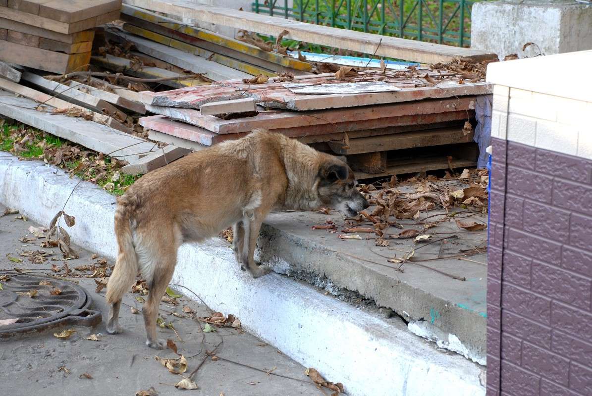 ������� ����������... ����� ����� ������ �� PhotoGeek.ru #����� #�������� ��� #��������� ������