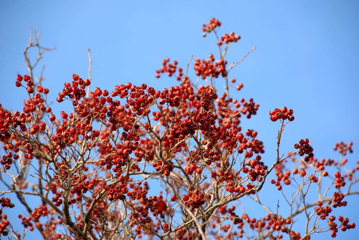 ������ �����! ����� ����� ������ �� PhotoGeek.ru #����� #������ ��� ������� #��������� ������ #����� ��������