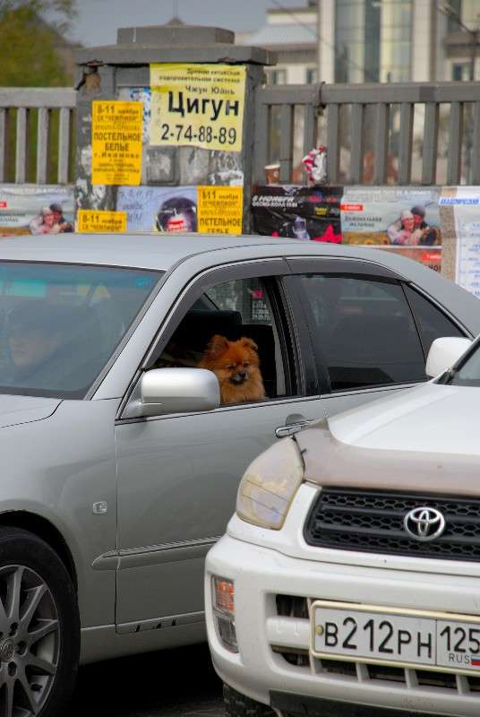 ����� ��������� �������� ����� ����� ������ �� PhotoGeek.ru #����� #�������� #�������������� ����