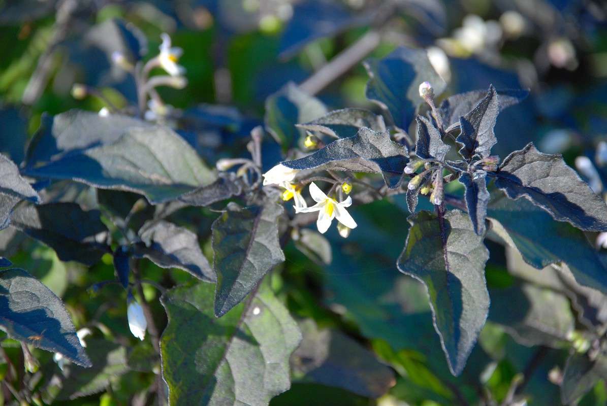 � ���������� ����� ����� ����� ������ �� PhotoGeek.ru #������ ��� ������� #����� �������������� #����� ��������