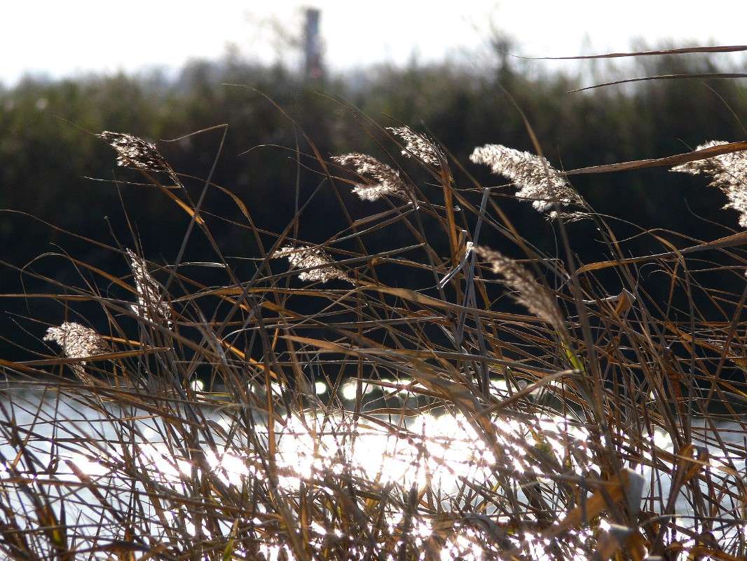 ������� �� ������� ����� ����� ������ �� PhotoGeek.ru #������ ��� ������� #����� �������������� #���������