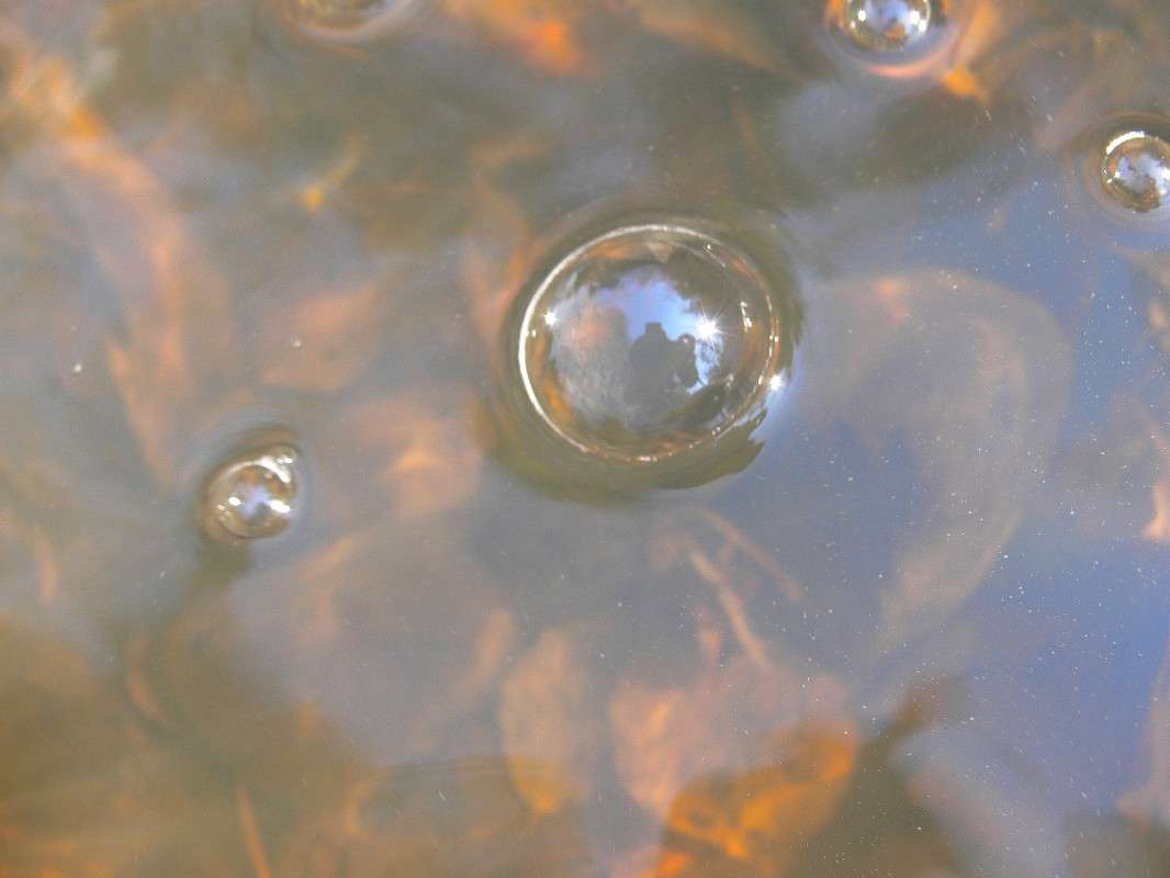 ����������� ������� ����� ����� ������ �� PhotoGeek.ru #������ ��� ������� #��������� #����� ��������