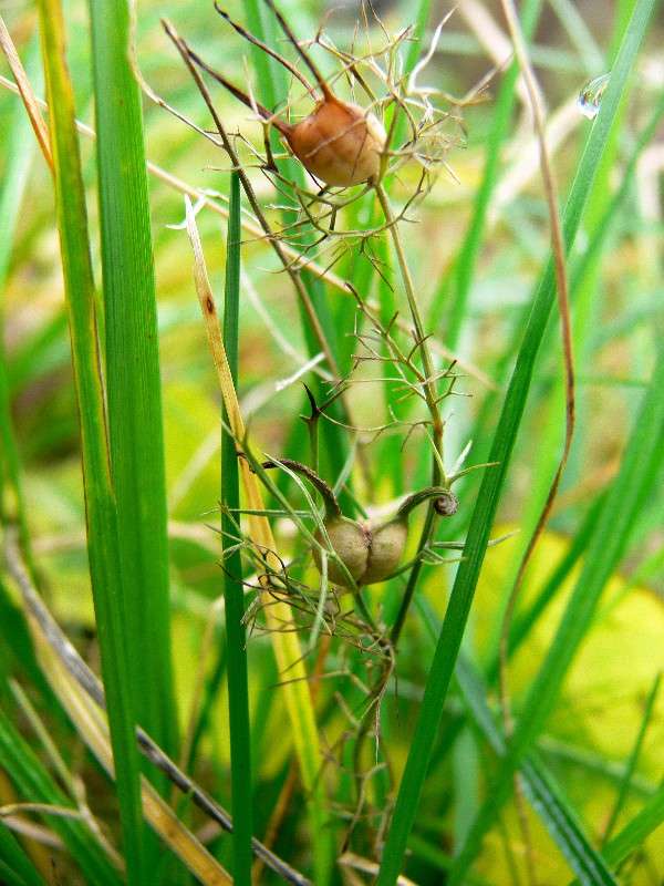 ���������! ����� ����� ������ �� PhotoGeek.ru #������ ��� ������� #����� �������������� #��������� #����� ��������