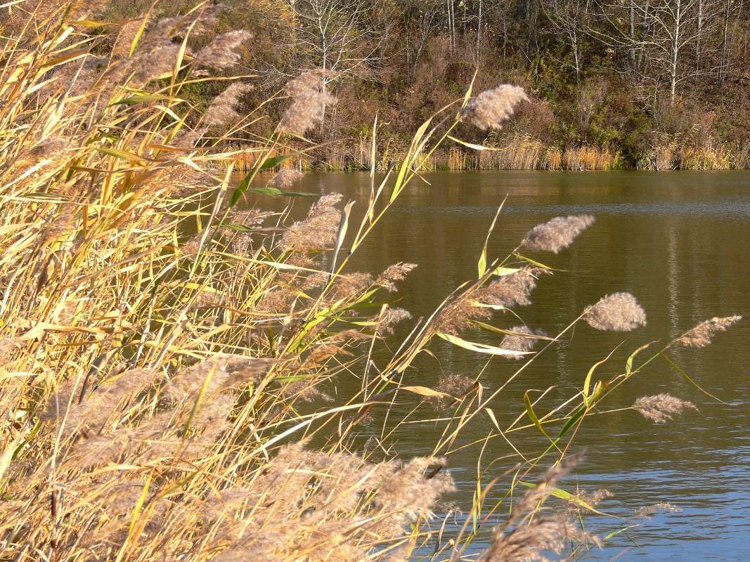 ����� ��������... ����� ����� ������ �� PhotoGeek.ru #������ ��� ������� #����� �������������� #���������