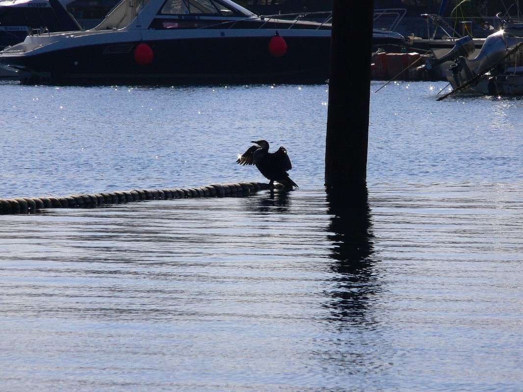 ��������������! ����� ����� ������ �� PhotoGeek.ru #�������� ��� #������ ��� ������� #��������� #����� ��������