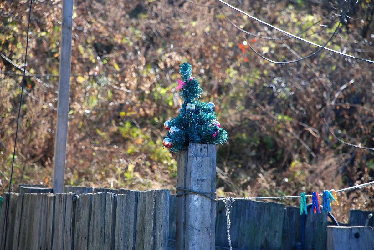 ������ ���� �����, � ���� - � �������� ����! ����� ����� ������ �� PhotoGeek.ru #����� #������ ��� ������� #��������� ������ #��������� #����� ��������