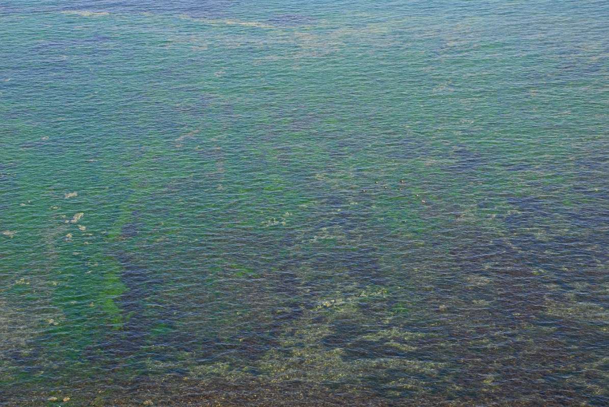 ����������� ��������� �������� ����� ����� ������ �� PhotoGeek.ru #������ ��� ������� #����� �������������� #����� ��������