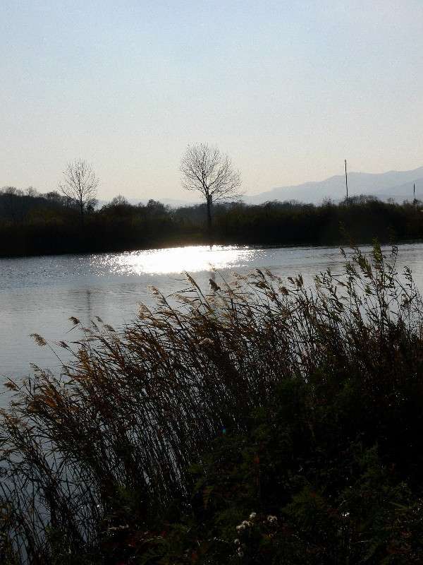 ...� ������ ���������... ����� ����� ������ �� PhotoGeek.ru #������ ��� ������� #����� �������������� #��������� #����� ��������