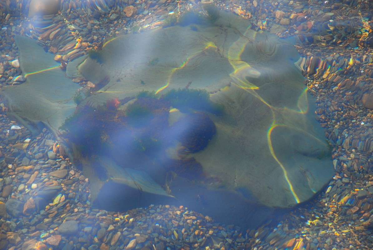 ������� ����� ����� ������ �� PhotoGeek.ru #����� #������ ��� ������� #��������� ������ #��������� #����� ��������