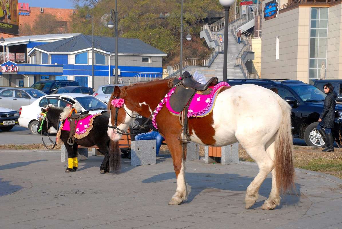 � �������� �����... ����� ����� ������ �� PhotoGeek.ru #����� #�������� ��� #��������� ������