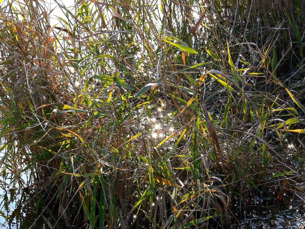 �������... ����� ����� ������ �� PhotoGeek.ru #������ ��� ������� #����� �������������� #���������