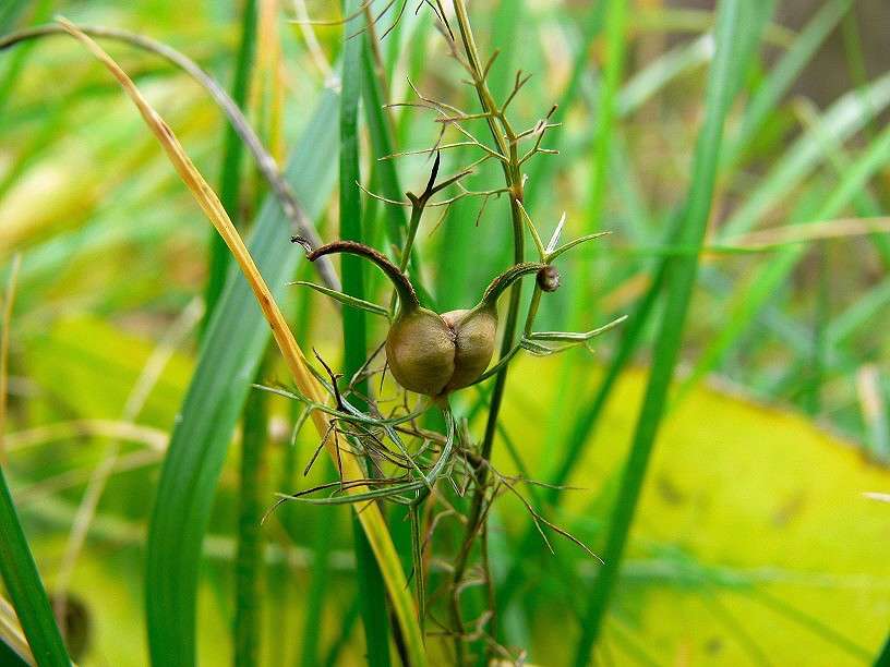 � �� ������ ��������� ��� - ��������! ����� ����� ������ �� PhotoGeek.ru #������ ��� ������� #����� �������������� #��������� #����� ��������