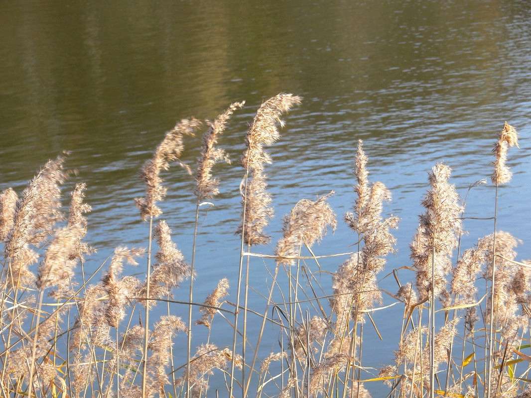 ����������... ����� ����� ������ �� PhotoGeek.ru #������ ��� ������� #����� �������������� #��������� #����� ��������