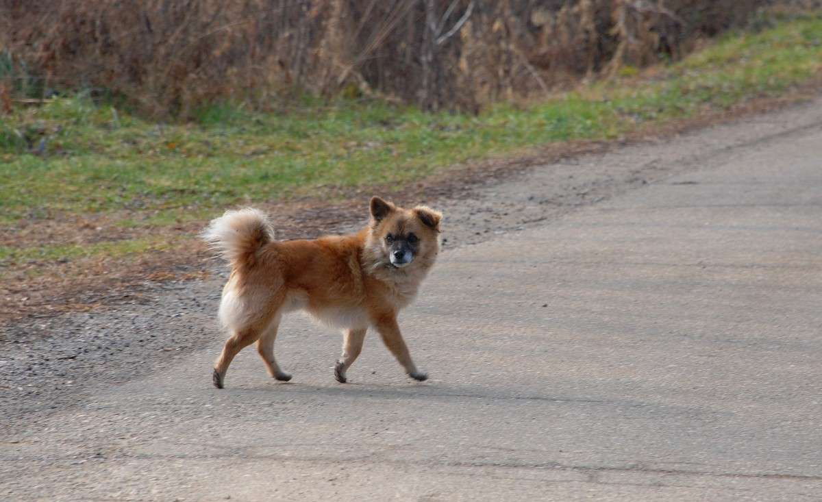 ����� ����, ��� ������! ����� ����� ������ �� PhotoGeek.ru #�������� ��� #������ ��� ������� #���������