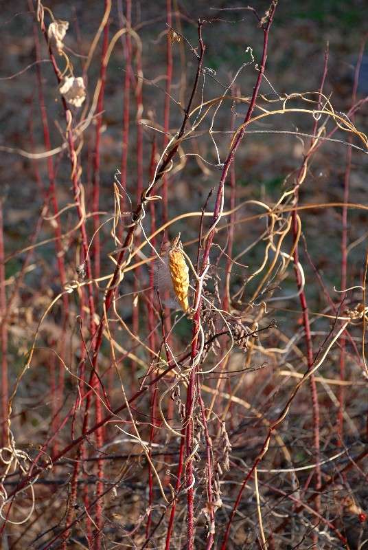 ������� ������� ����� ����� ������ �� PhotoGeek.ru #������ ��� ������� #����� �������������� #���������