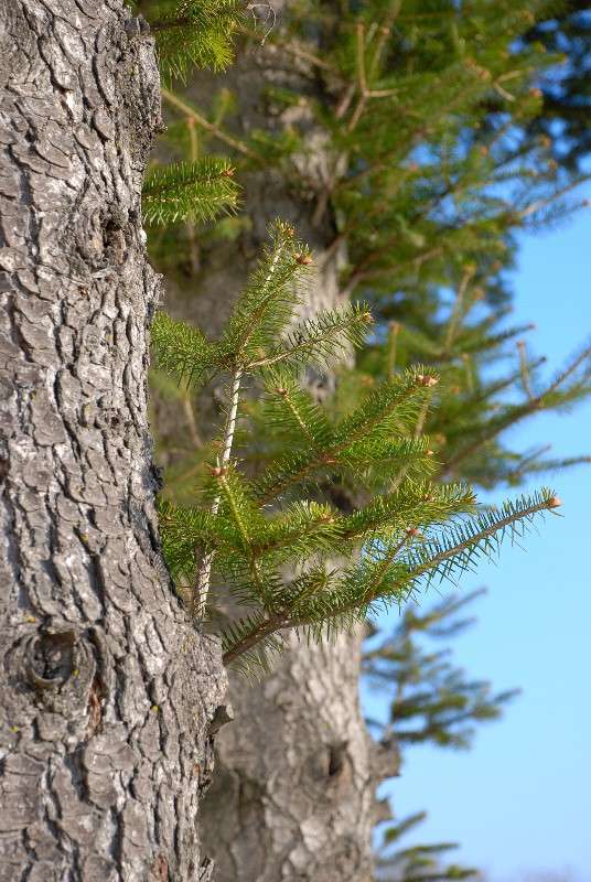 ������ �������... ����� ����� ������ �� PhotoGeek.ru #������ ��� ������� #����� �������������� #���������