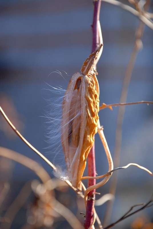 �������� �� �������� �����... ����� ����� ������ �� PhotoGeek.ru #������ ��� ������� #����� �������������� #��������� #����� ��������