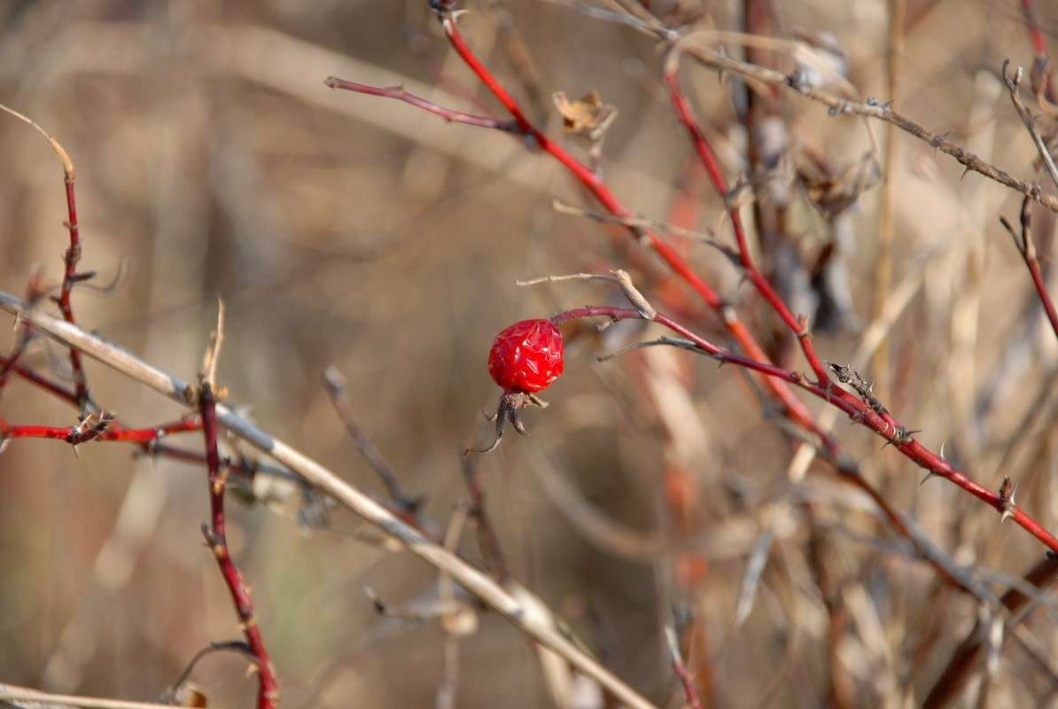 ��������� ����������! ����� ����� ������ �� PhotoGeek.ru #������ ��� ������� #����� �������������� #��������� #����� ��������