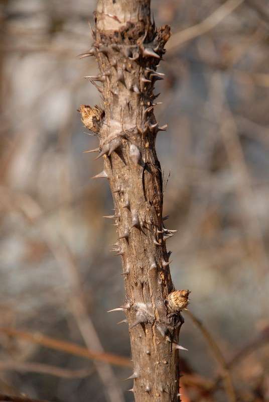 ������� ������ ����� ����� ������ �� PhotoGeek.ru #������ ��� ������� #����� �������������� #��������� #����� ��������